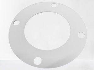 Gasket for PLF1000 Drg TAV.07.8.001 (M)